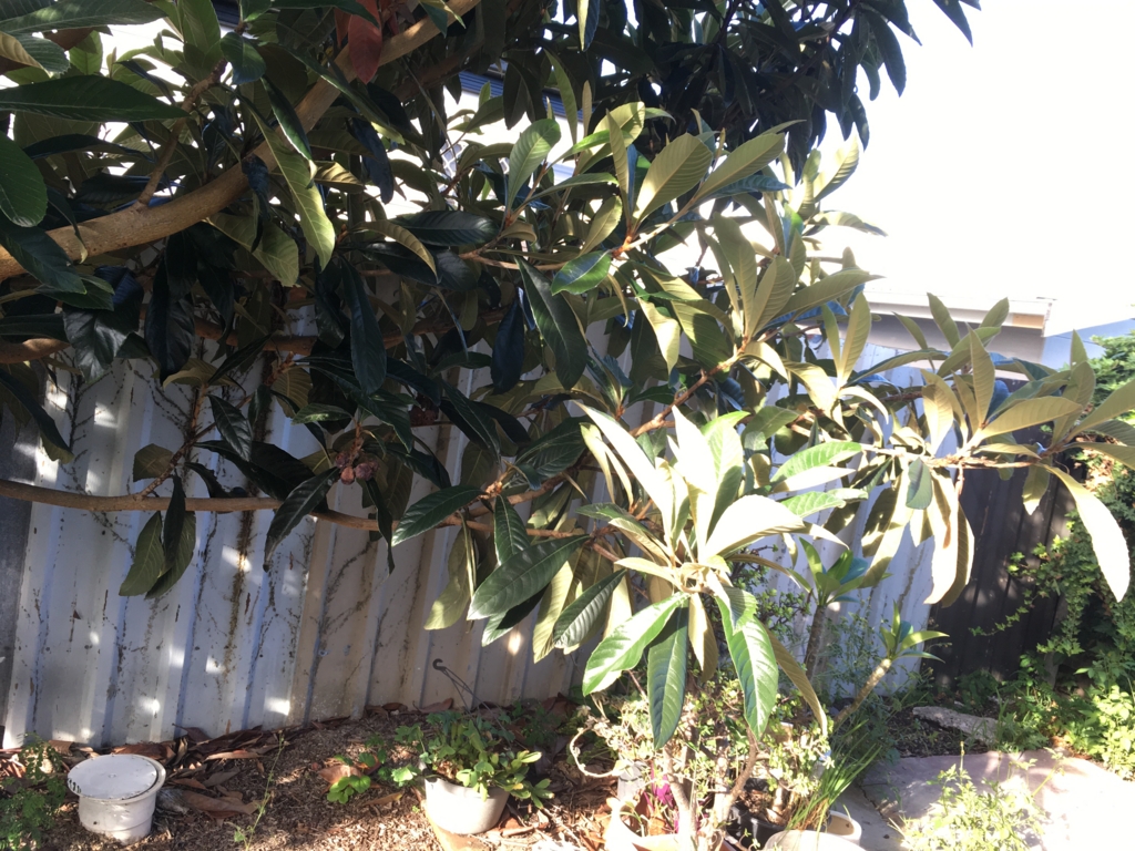 f:id:giriholiday30:20170105205357j:plain