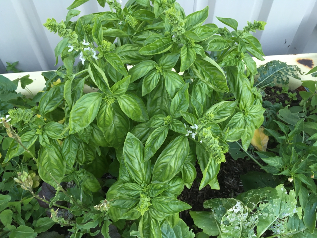 f:id:giriholiday30:20170105210503j:plain