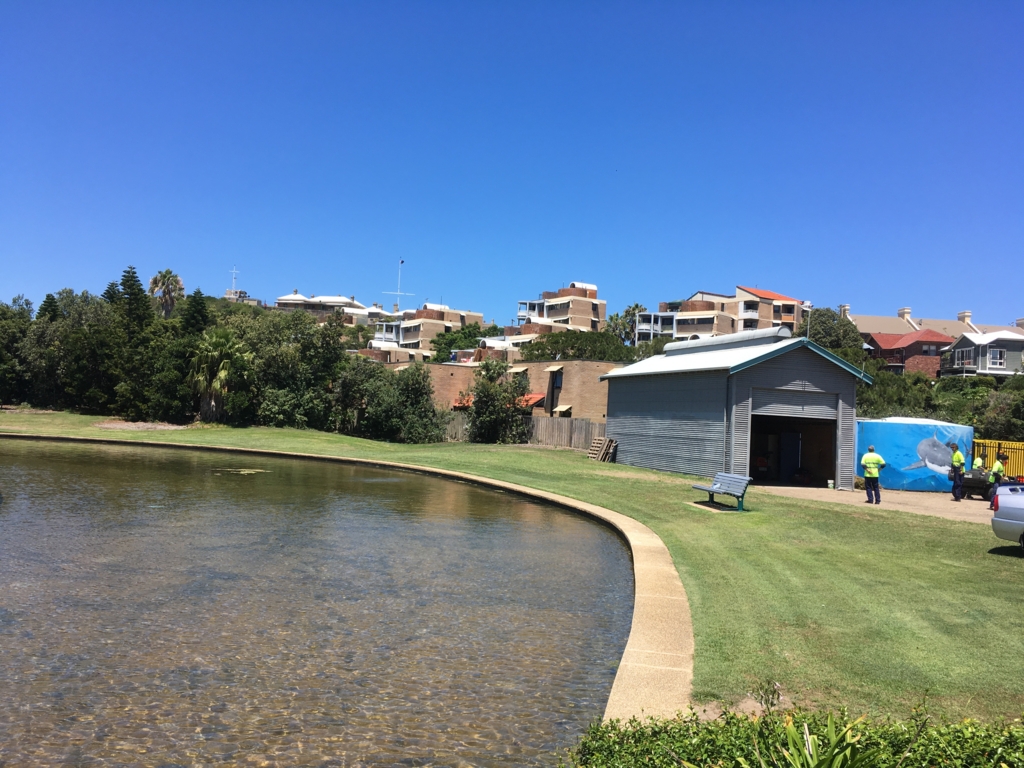 Newcastle 2件目wwoof5日目 ニューカッスル観光 本日最終日です 30歳からのブログ Newcastle 2件目wwoof5日目 ニューカッスル観光 本日最終日です 30歳からのブログ