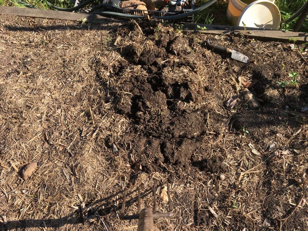 f:id:giriholiday30:20170121092804j:plain