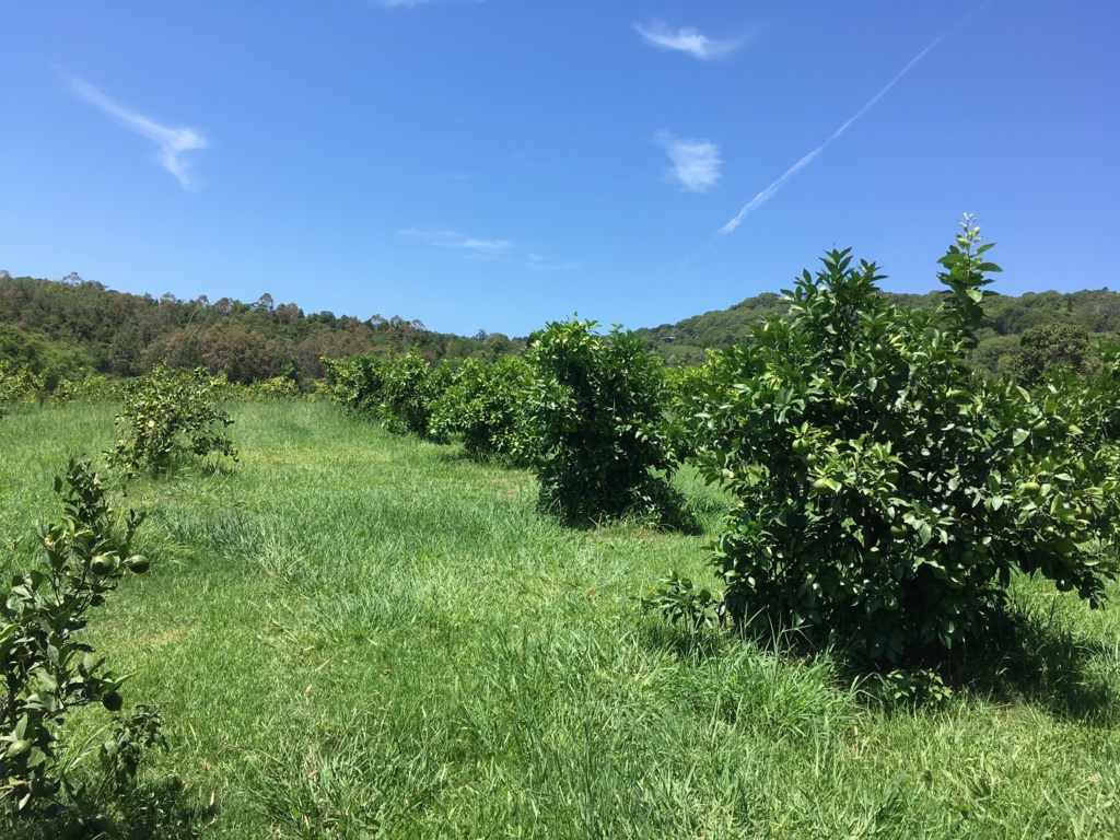 f:id:giriholiday30:20170121094631j:plain