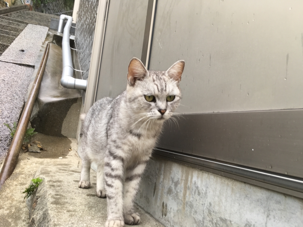 f:id:giriholiday30:20171003164742j:plain f:id:giriholiday30:20171003164742j:plain