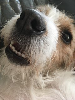 f:id:giriholiday30:20171208184539j:plain f:id:giriholiday30:20171208184539j:plain