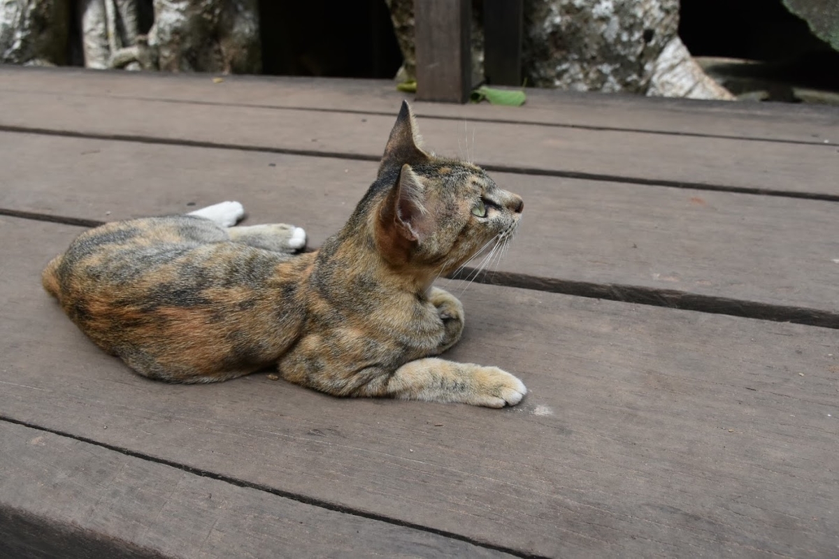 f:id:girl_travel_reborn-program:20191002172536j:plain
