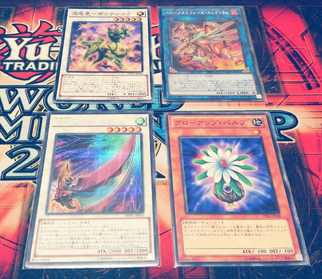 f:id:girudoya:20180205144852j:plain