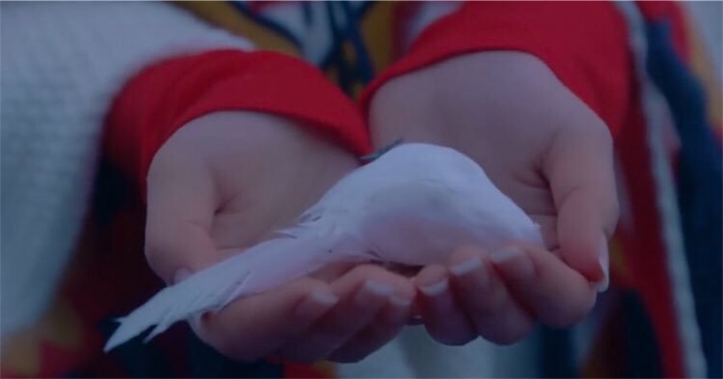 f:id:girunloona:20190107040555j:image