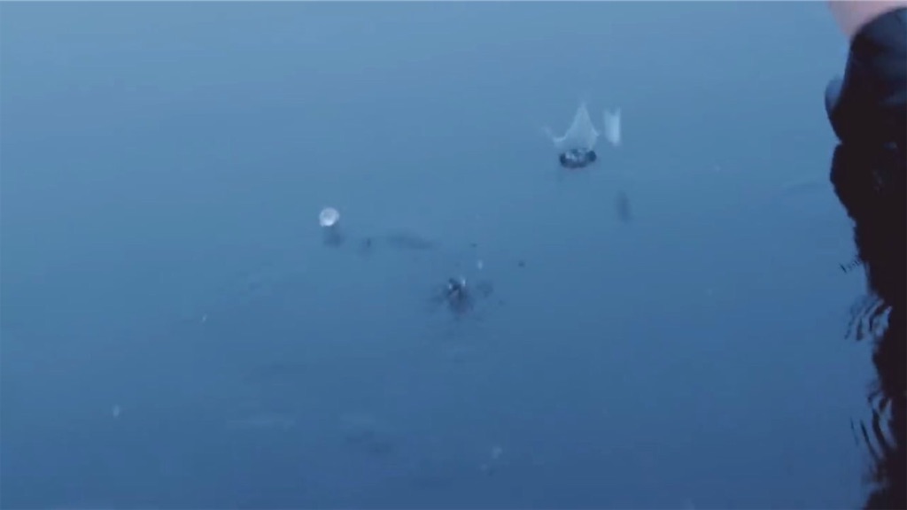 f:id:girunloona:20190108025754j:image