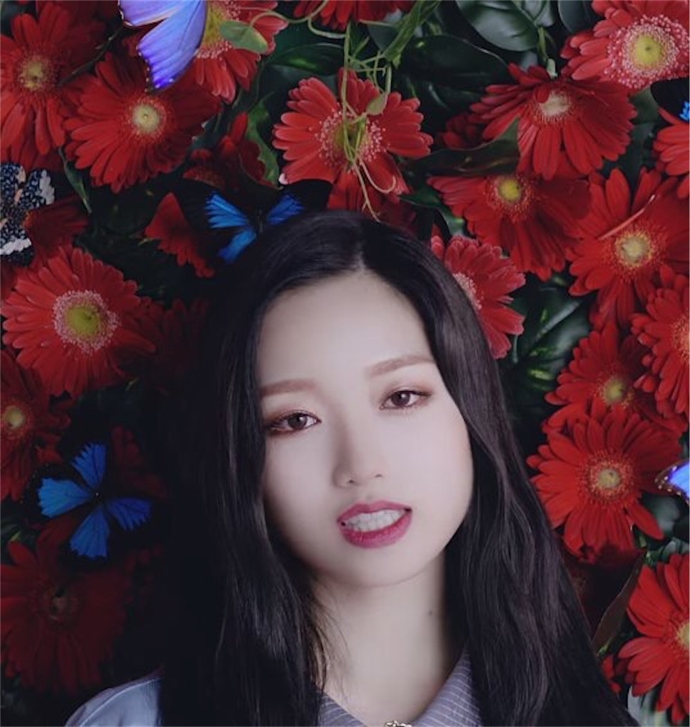 f:id:girunloona:20190114035744j:image