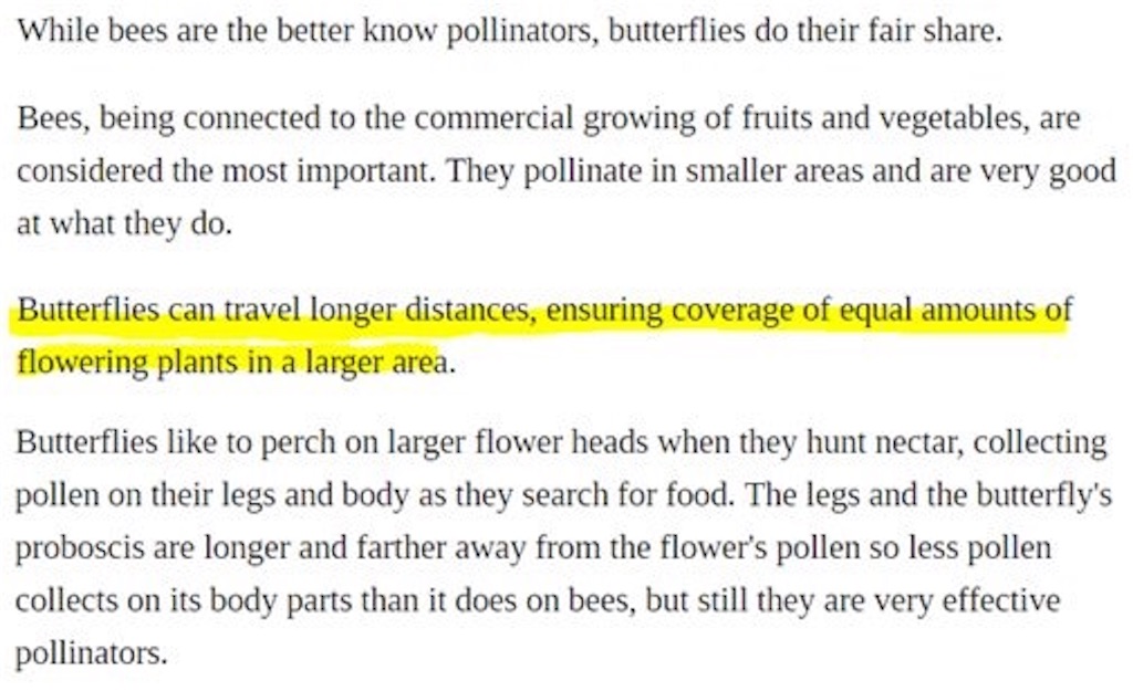 f:id:girunloona:20190114043407j:image