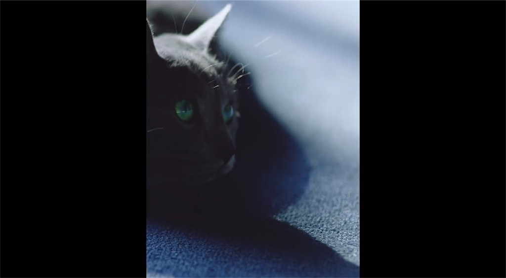 f:id:girunloona:20190218114554j:image