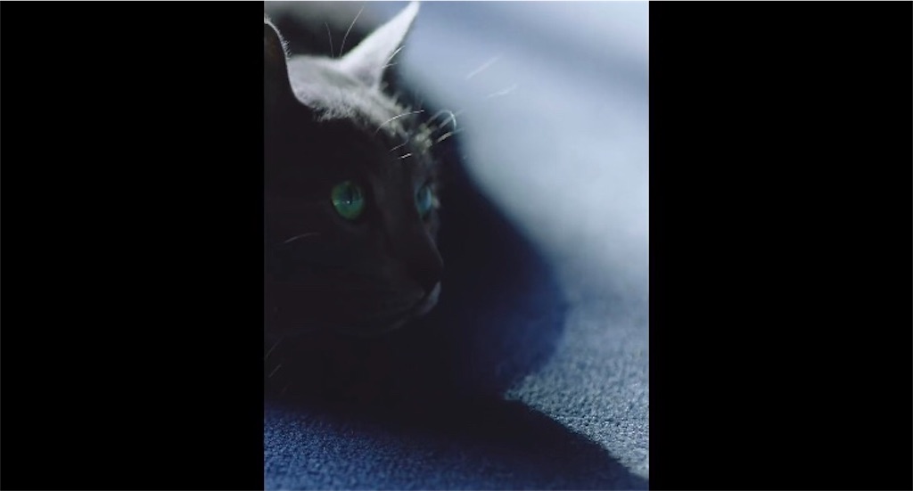 f:id:girunloona:20190628033842j:image