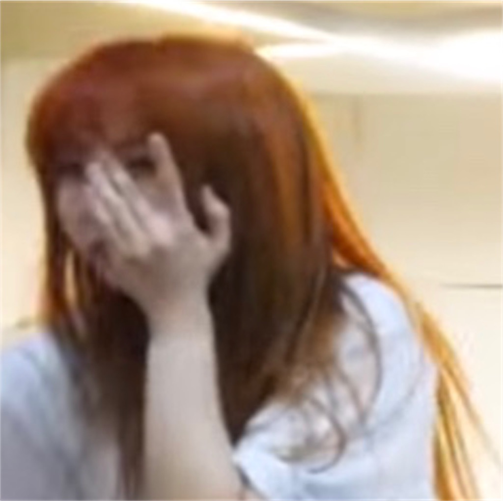 f:id:girunloona:20190826173400j:image