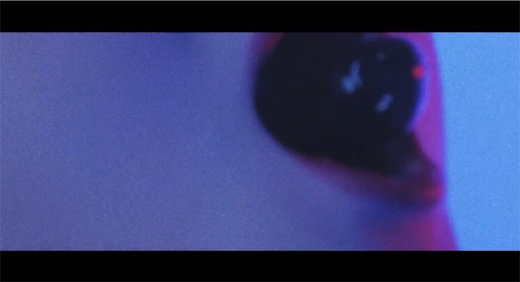 f:id:girunloona:20200128015322j:image