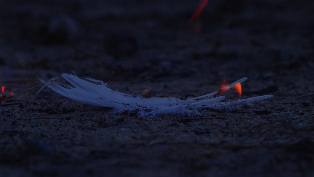 f:id:girunloona:20200225161755p:image