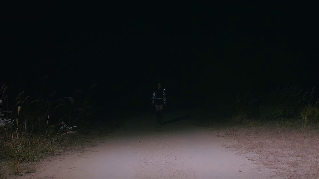 f:id:girunloona:20201230222650j:image