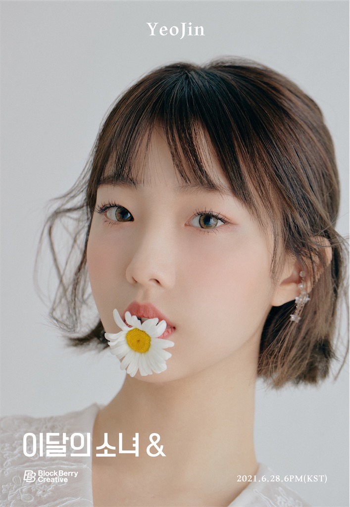 f:id:girunloona:20210626045251j:image