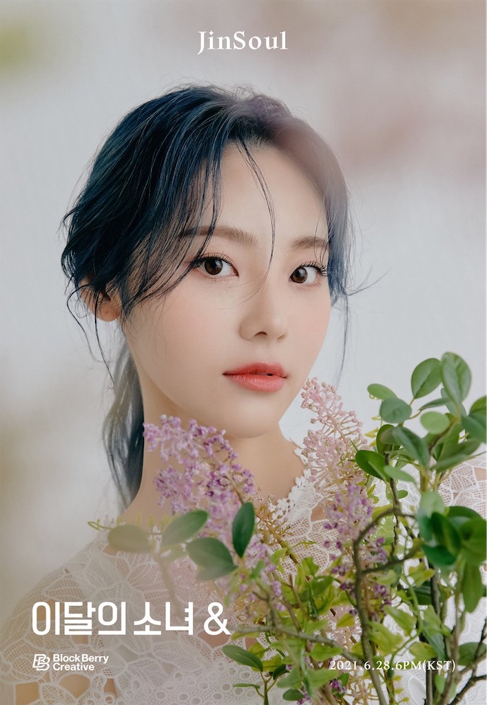 f:id:girunloona:20210626045346j:image