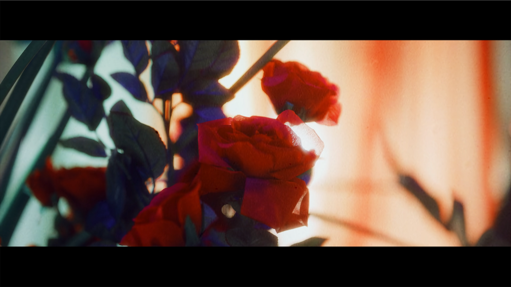 f:id:girunloona:20210626135226p:image