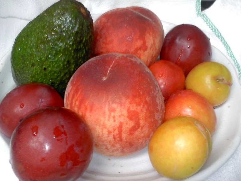f:id:gitonszimmer:20130620202846j:image:w640