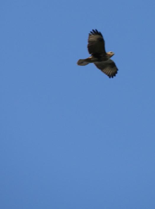 f:id:gitonszimmer:20130808231020j:image:w320:left