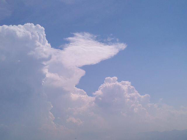 f:id:gitonszimmer:20130812020855j:image:w380:left
