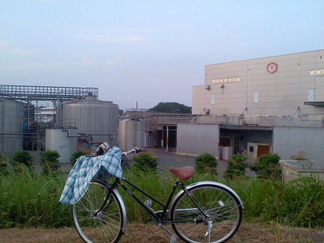 f:id:gitonszimmer:20130821081310j:image:w360:left f:id:gitonszimmer:20130821081310j:image:w360:left