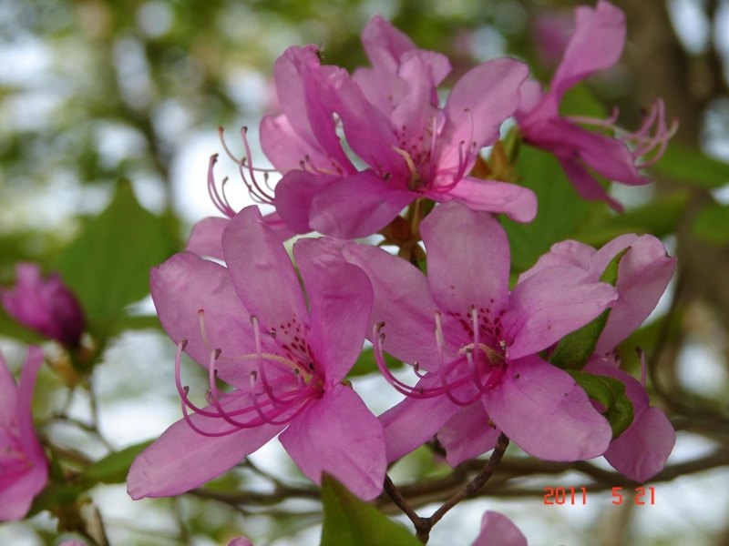 f:id:gitonszimmer:20140320052250j:image:w360:right
