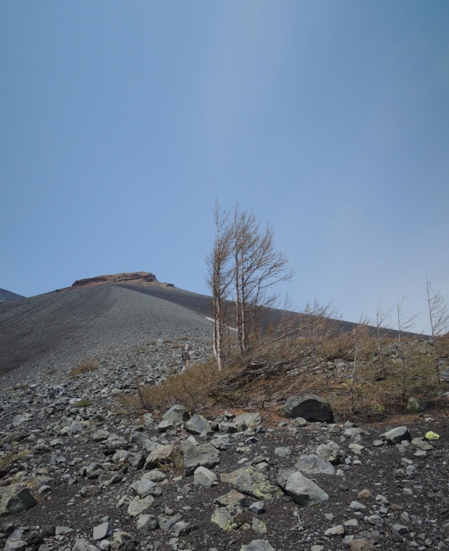 f:id:gitonszimmer:20140530060331j:image:w440