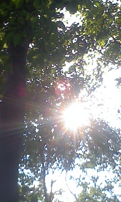 f:id:gitonszimmer:20140601011100j:image:w280:right f:id:gitonszimmer:20140601011100j:image:w280:right