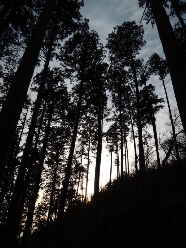 f:id:gitonszimmer:20140601013223j:image:w360:left f:id:gitonszimmer:20140601013223j:image:w360:left