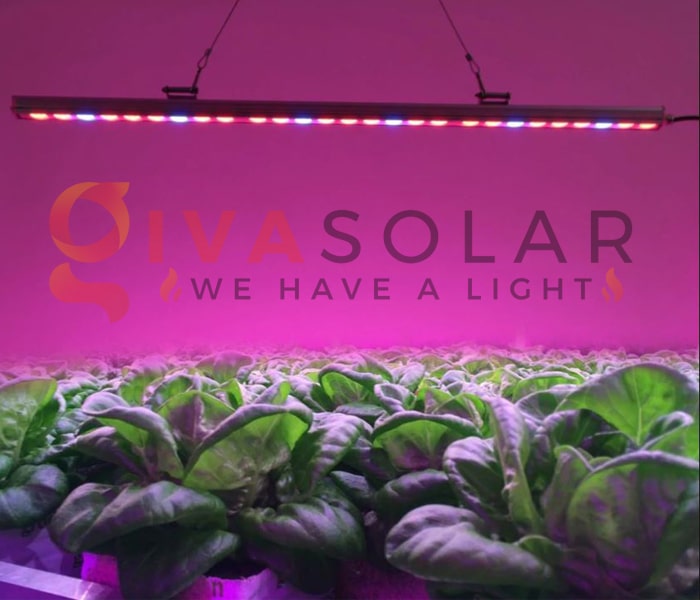 f:id:givasolar:20190129120129j:plain