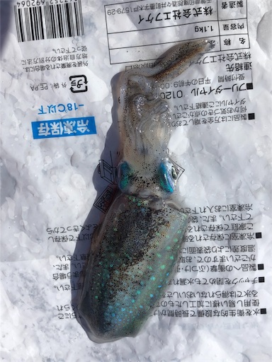 f:id:gix3-7:20190916101820j:image