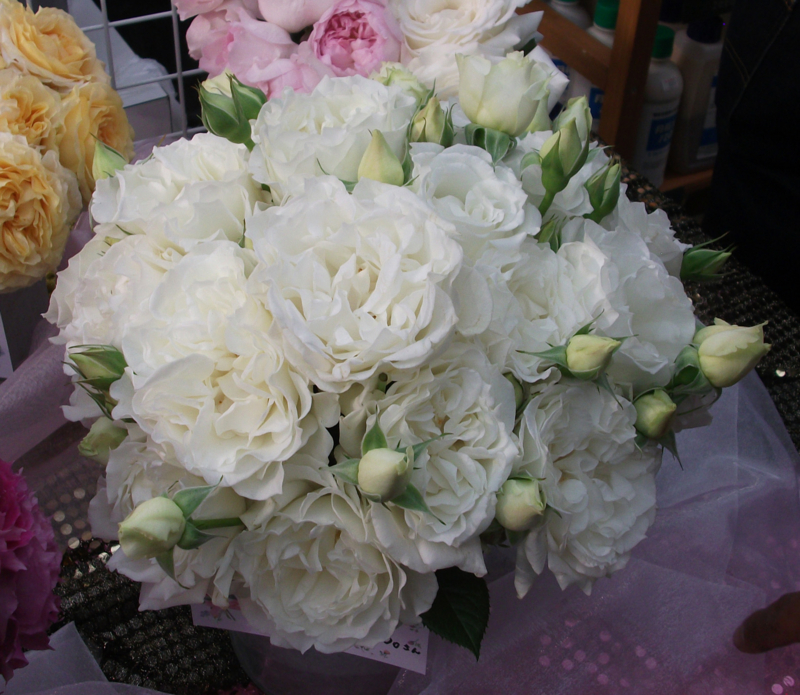 f:id:giya3ra5g7sko:20130528043156j:image