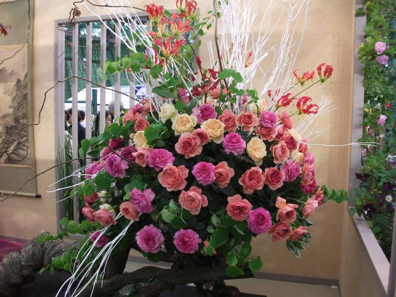 f:id:giya3ra5g7sko:20130528044025j:image