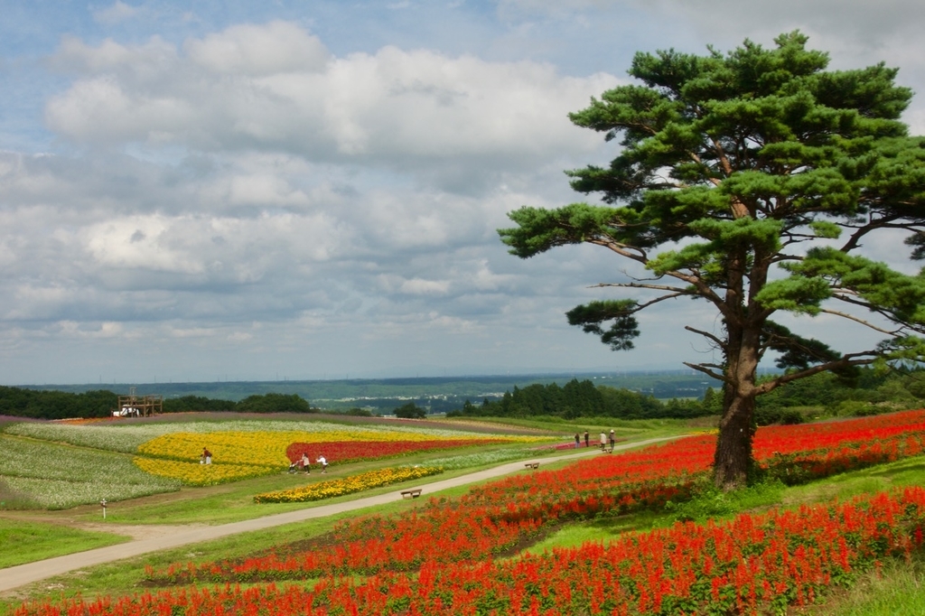 f:id:gizagizafitzroy:20181007013510j:plain