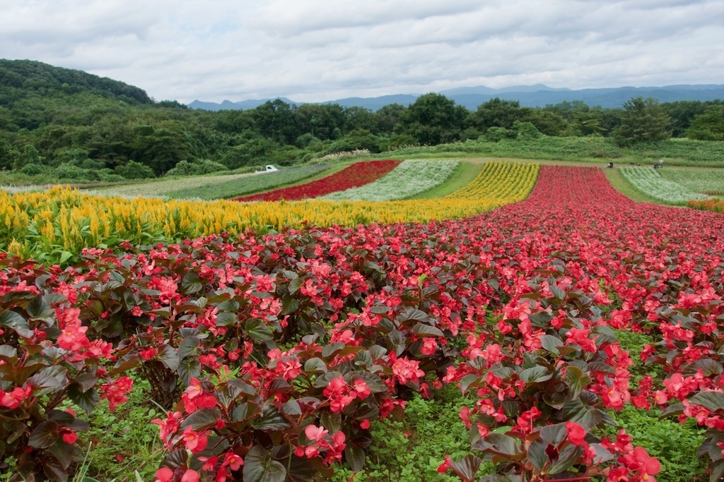 f:id:gizagizafitzroy:20181007014448j:plain