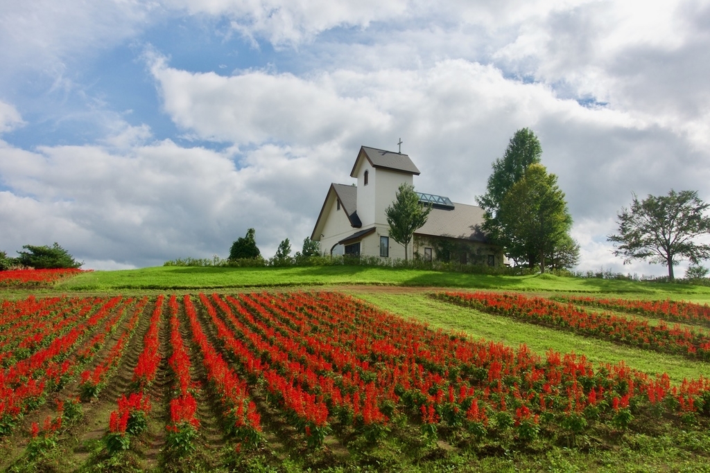 f:id:gizagizafitzroy:20181007014738j:plain