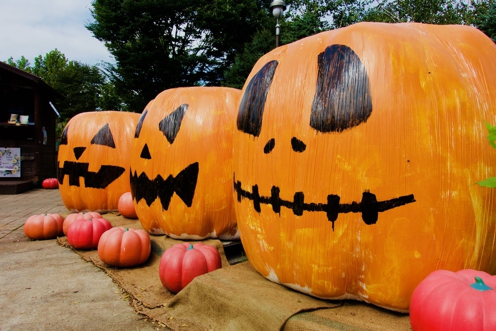 f:id:gizagizafitzroy:20181007015751j:plain