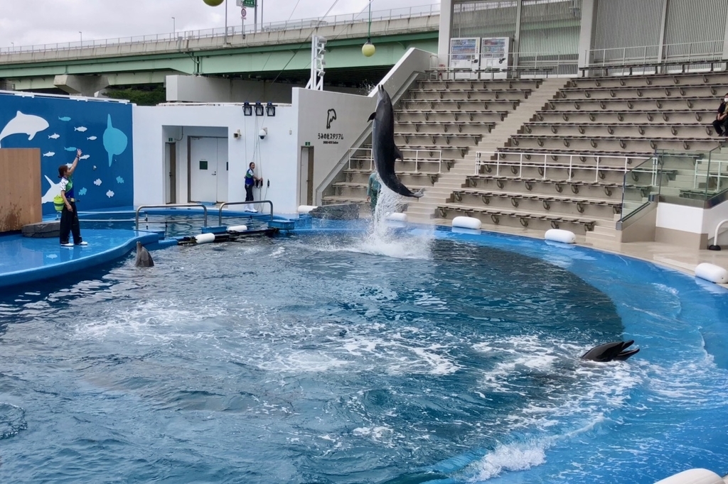 仙台うみの杜水族館を撮影│Giza*2