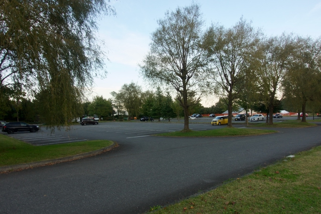 f:id:gizagizafitzroy:20181019062832j:plain