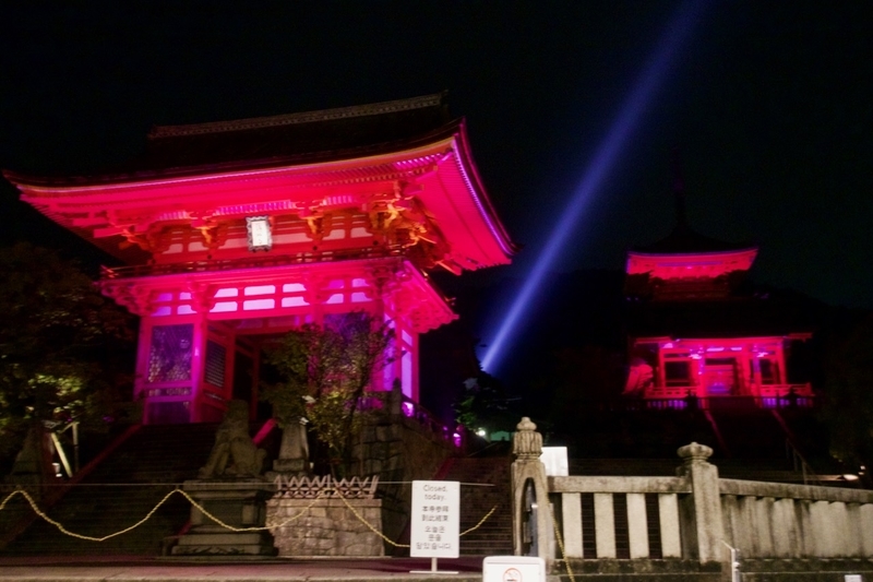 f:id:gizagizafitzroy:20181124143227j:plain