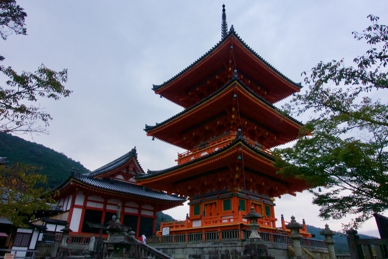 f:id:gizagizafitzroy:20181124143229j:plain