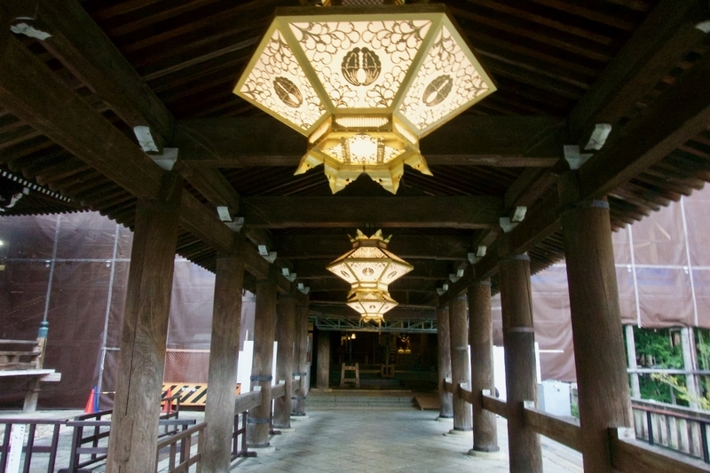 f:id:gizagizafitzroy:20181124143230j:plain