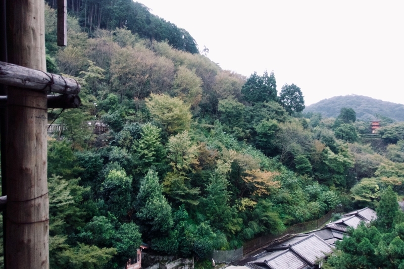 f:id:gizagizafitzroy:20181124143231j:plain