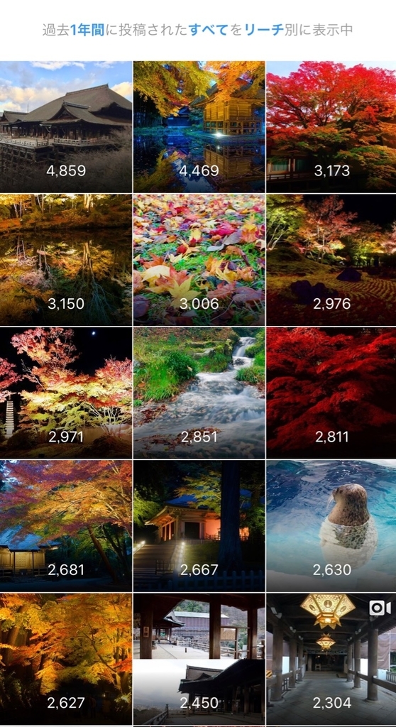 f:id:gizagizafitzroy:20181202231308j:plain