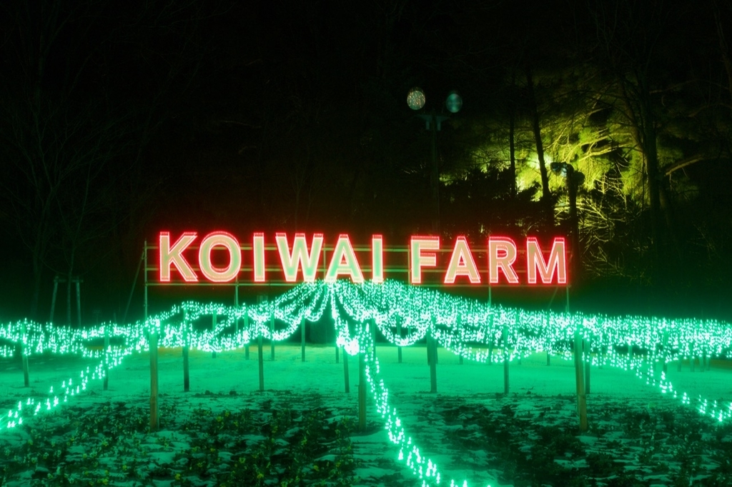 f:id:gizagizafitzroy:20181207110047j:plain