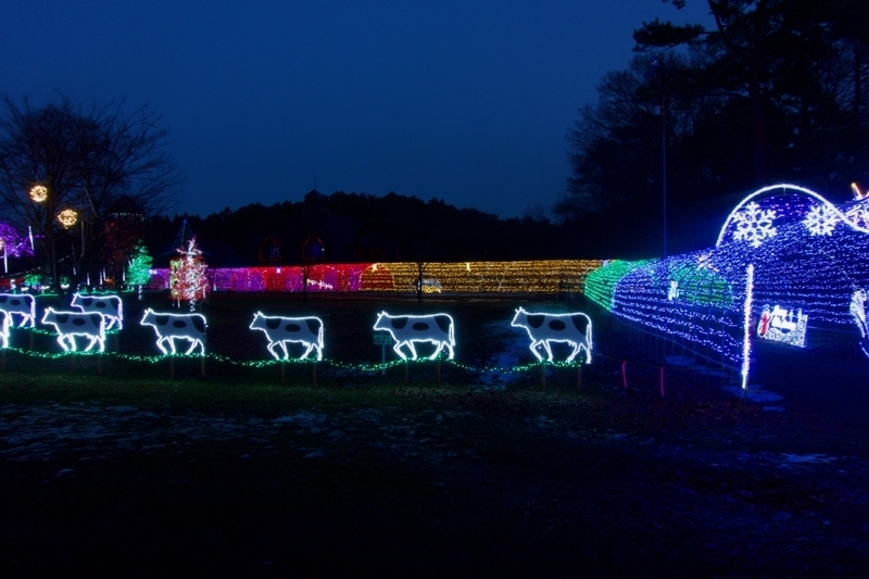 f:id:gizagizafitzroy:20181207112028j:plain