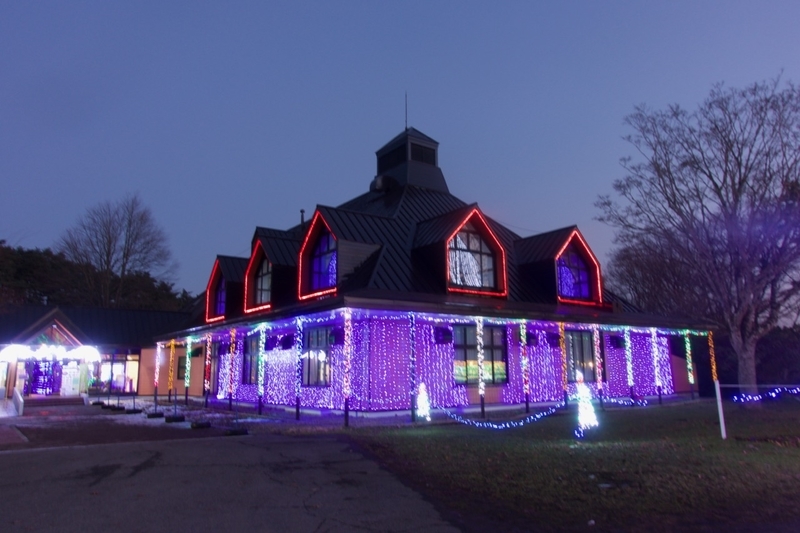 f:id:gizagizafitzroy:20181207112029j:plain