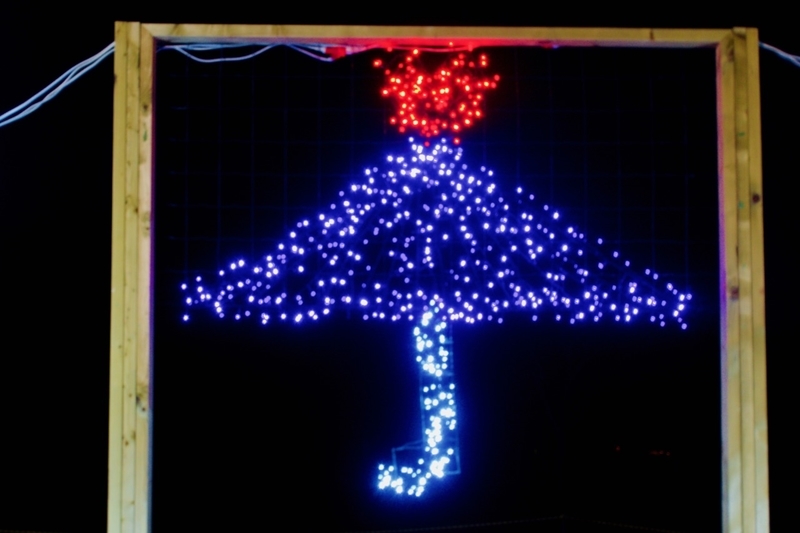 f:id:gizagizafitzroy:20181207112032j:plain