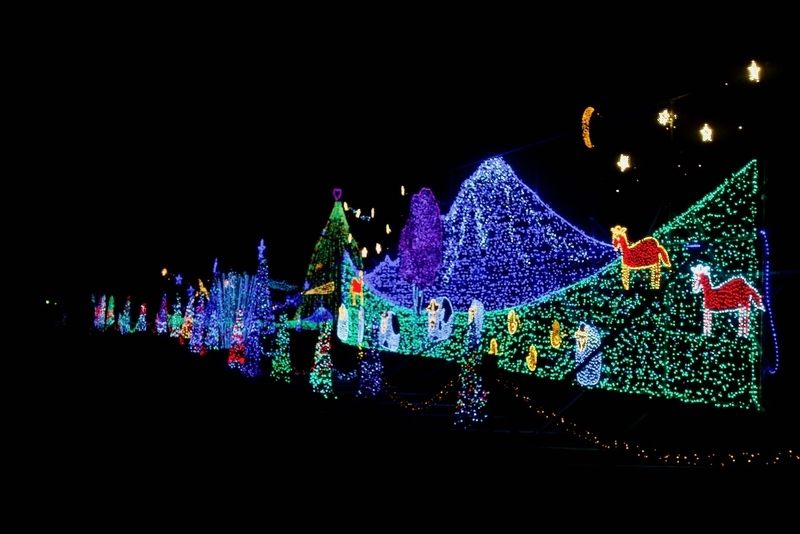 f:id:gizagizafitzroy:20181207112033j:plain